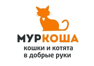 Частный приют муркоша отзывы